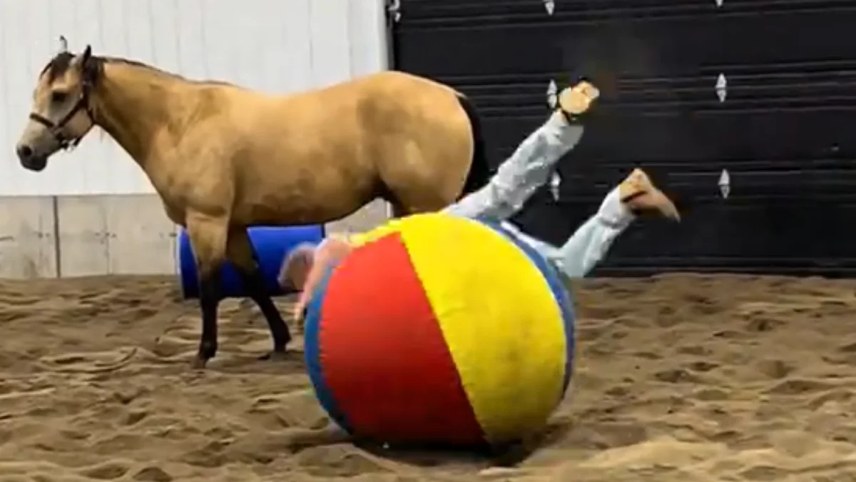 Cavalo dá toques impecáveis na bola e torna-se protagonista do vídeo