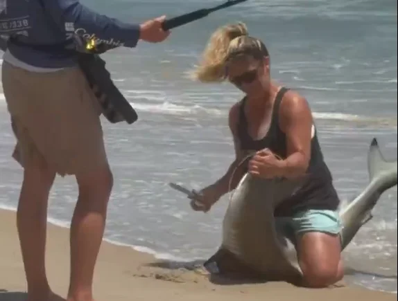 Mulher na Flórida salva tubarão preso por anzol na praia