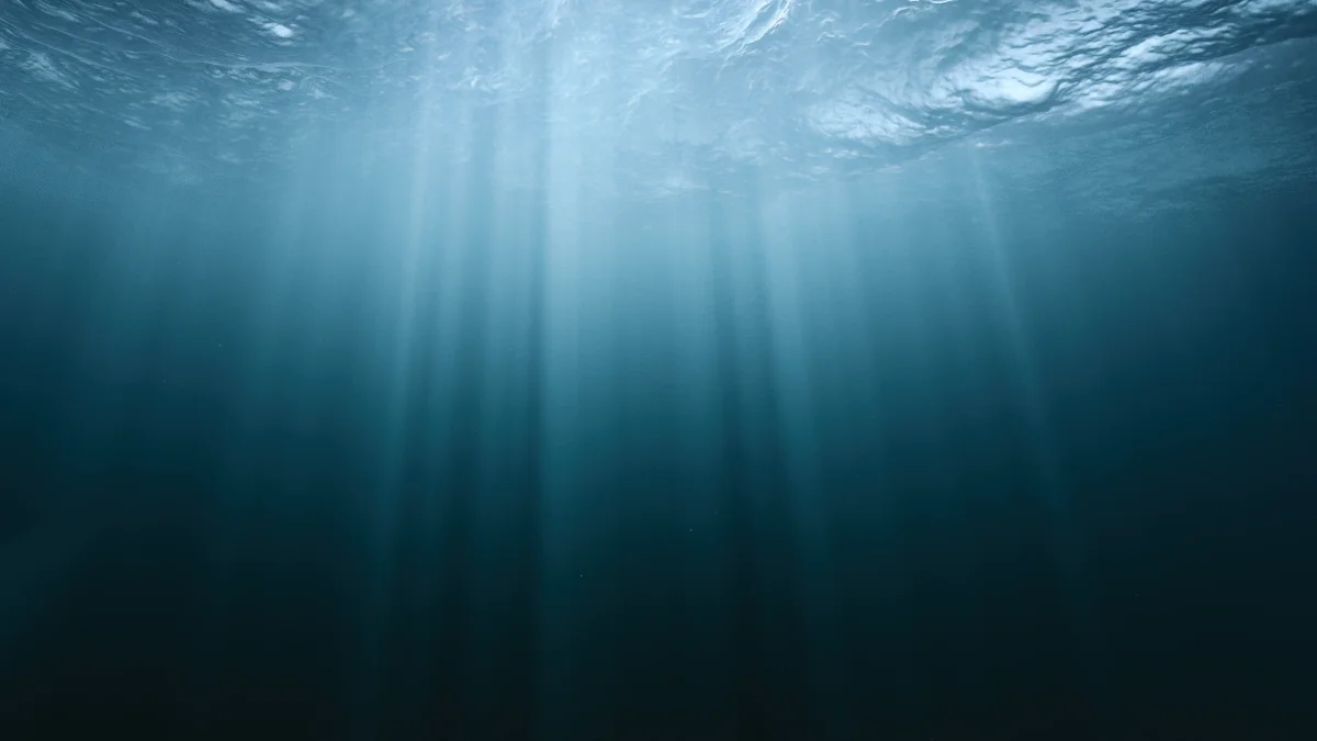 Petal: cabo submarino com mais do dobro da capacidade atual