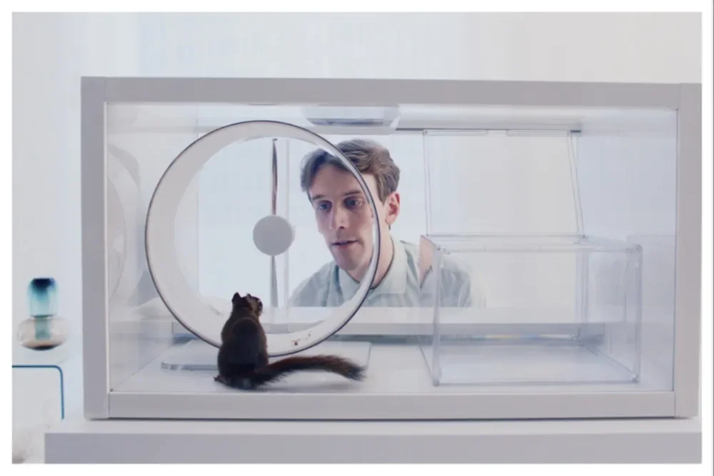The Squirrel: candidato finlandês aos Óscares elogiado por Aki Kaurismäki